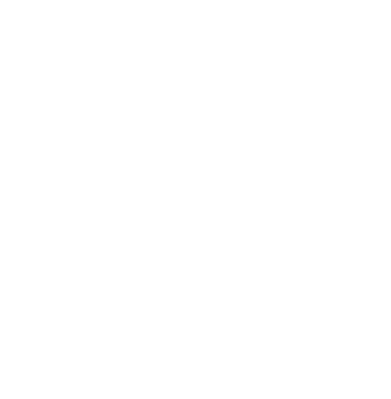 Riddim N Spice